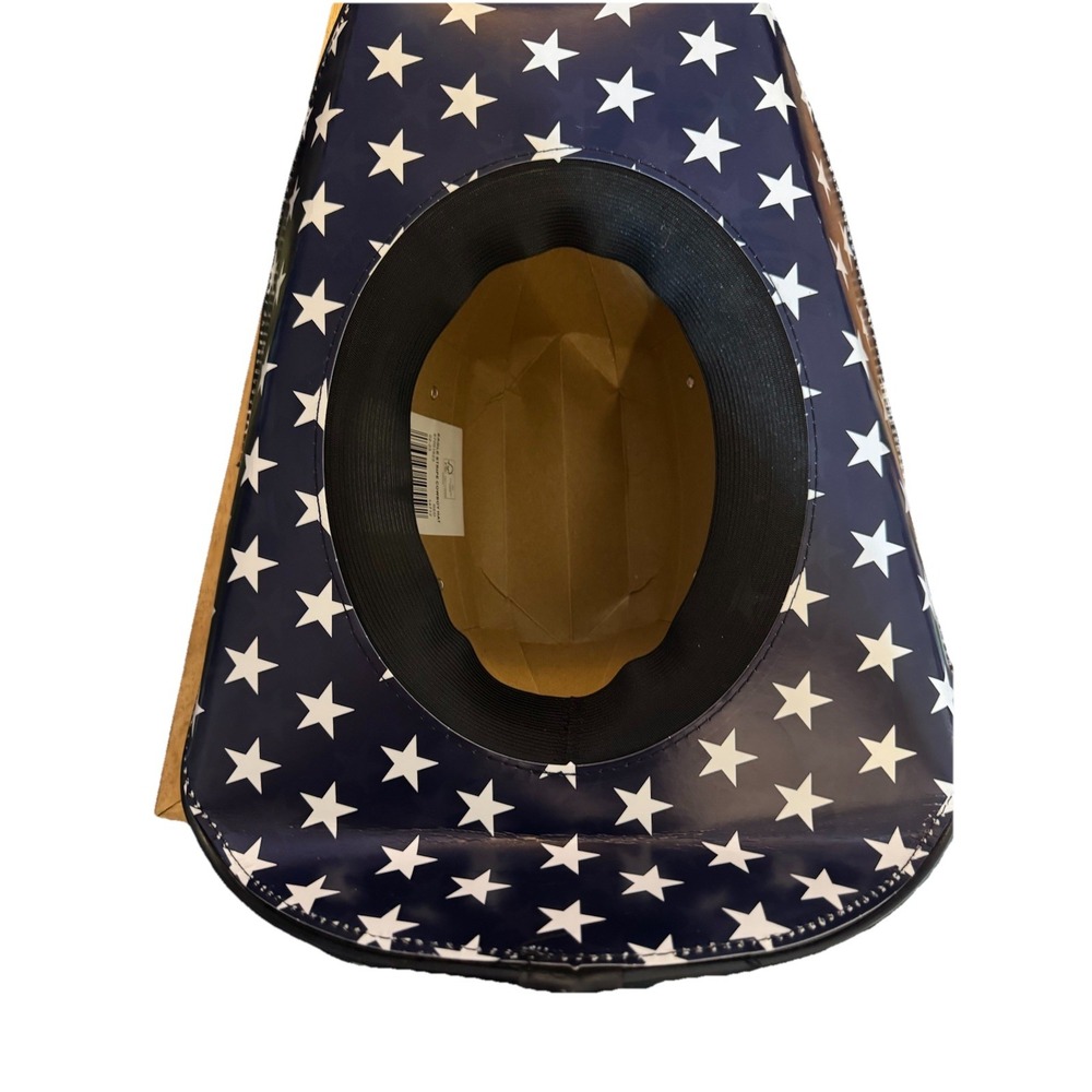 Eagle Stripe Beer Box COWBOY HAT American Flag Carton Novelty Americana New RARE - Picture 8 of 8